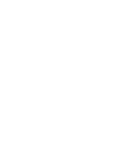 Translator Scandinavia